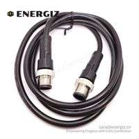 M12 5-poliges Stecker-Stecker-Verlängerung kabel Umspritztes Codierung kabel mit einer Länge von 1m zum Verkauf