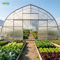 Kit de montage facile pour serre tunnel agricole portable, taille personnalisable pour la culture de légumes dans le jardin