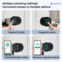 Cylindre de serrure intelligent à profil européen Aurelysse, application Tuya, sans clé, antivol, indice d'étanchéité IP65 pour porte de maison