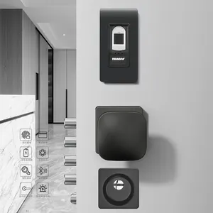 Tuya app porta d'ingresso smart lock sicurezza smart villa serratura per porte serrature elettroniche