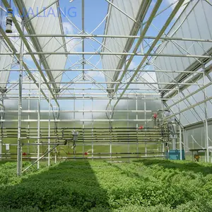 PC/Plastic film/Glass agricultural greenhouse turnkey project with quick construction