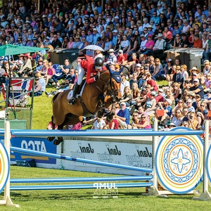Prestazioni equestri ostacolo Show Jumping cavallo <span class=keywords><strong>salto</strong></span> di alta qualità in PVC cavallo <span class=keywords><strong>salto</strong></span> per arene di equitazione all'aperto - Product Image 6