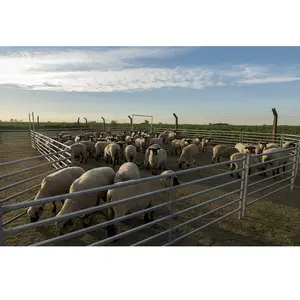 Panneaux de clôture métalliques portables pour ferme, pré-trempé à chaud, 5 Rails pour bétail Corral 12 pieds, mouton et chèvre soudés