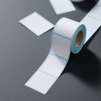Etiquetas de Papel Térmico Autoadhesivas Express de 100 mm x 150 mm, 350 Hojas, Resistentes al Agua, Aceite y Rayones, para Códigos de Barras
