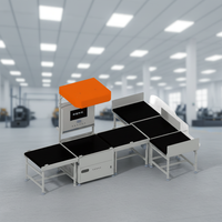 Système de tri flexible multicanal à grande vitesse 220V, nouveau trieuse-diverseuse automatique, convoyeur de tri, capacité de 2500 pièces/heure, garantie 1 an