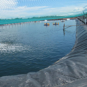 Aquacultuur Waterdichte Vijver Liner Hdpe Geomembrane Viskwekerij Voor Milieuprojecten - Product Image 1
