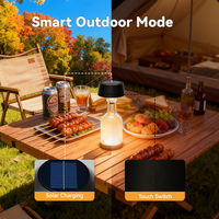 Lampe de table pour bouteille de vin, portable, alimentée par énergie solaire, étanche, pour club, mariage, bar, présentoir de boissons