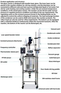 Réacteur en verre à double enveloppe pour distillation rotative sous vide avec agitation et résistance thermique - Product Image 2