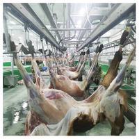 Ligne d'abattage complète pour moutons Maisheng, équipement d'abattoir halal pour agneaux, équipement d'abattage de moutons