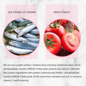 <span class=keywords><strong>Sardinas</strong></span> Enlatadas en Salmuera con Salsa <span class=keywords><strong>de</strong></span> <span class=keywords><strong>Tomate</strong></span>, en Lata <span class=keywords><strong>de</strong></span> 155g, con Más del 85% <span class=keywords><strong>de</strong></span> Carne <span class=keywords><strong>de</strong></span> Sardina - Product Image 2