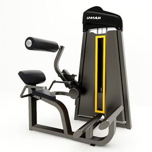 Attrezzatura Fitness a Prezzo di Fabbrica per Casa e Palestra Commerciale, Macchina per Estensione <span class=keywords><strong>Schiena</strong></span>, Rafforza i <span class=keywords><strong>Muscoli</strong></span> Lombari e della <span class=keywords><strong>Schiena</strong></span>, Migliora la Postura - Product Image 3