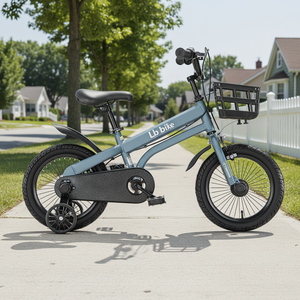 Vélo pour enfant de 12, 14, 16, 18 pouces avec roues d'apprentissage, cadre en acier à haute teneur en carbone, pneus <span class=keywords><strong>AVA</strong></span> larges, selle souple, rayons de 14 mm, paniers, garde-boue - Product Image 3