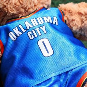 Peluche en peluche en forme <span class=keywords><strong>de</strong></span> ballon <span class=keywords><strong>de</strong></span> <span class=keywords><strong>basket</strong></span>, ours en peluche, jouets, numéros <span class=keywords><strong>de</strong></span> maillot personnalisés, ours en peluche <span class=keywords><strong>NBA</strong></span>, jouets en peluche - Product Image 6