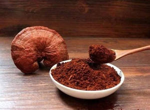 Suministro de fábrica Premium <span class=keywords><strong>Ganoderma</strong></span> lucidum extracto suplemento <span class=keywords><strong>Ganoderma</strong></span> lucidum extracto cápsulas - Product Image 3