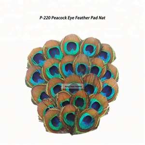 Rouge Artisanat DIY Naturel Plumes Pads pour Femmes Chapeau Chapellerie Pince À Cheveux Accessoire Bandeau Fascinator Fleur De Mariage Décor - Product Image 3