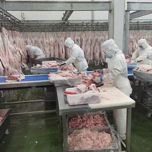Macchina industriale della linea della macellazione delle pecore attrezzatura ad alto rendimento della macelleria per le fabbriche di <span class=keywords><strong>carne</strong></span> - Product Image 6