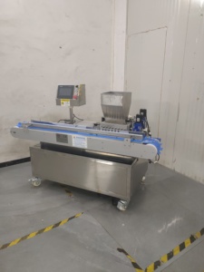 Máquina Multifuncional para Rellenar Pan y Pasteles con Crema, Máquina para Hacer Pan y Rellenar Rollos <span class=keywords><strong>de</strong></span> Huevo a Precio Económico - Product Image 6