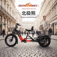 Tricycle électrique Bafang avec deux batteries au lithium de 40 Ah, cadre en acier, type carrosserie ouverte, capteur de couple, modèle Step-Thru