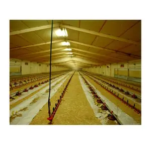 Gaya terbuka Prefab broiler desain rumah peternakan unggas prefabrikasi kandang ayam besar untuk dijual