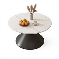 Ensemble de tables basses modernes minimalistes en acier inoxydable, meubles de salon de haute qualité et écologiques
