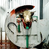 Machine d'abattage de vache de conception professionnelle Halal fidèle boîte d'abattage de bétail en rotation ligne d'abattage de bétail