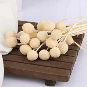 N-115 Craspedia naturelle séchée, fleurs jaunes Billy Buttons, bouquets <span class=keywords><strong>de</strong></span> boules, mini bouquet <span class=keywords><strong>de</strong></span> fleurs <span class=keywords><strong>séchées</strong></span> pour vase, artisanat à domicile - Product Image 4