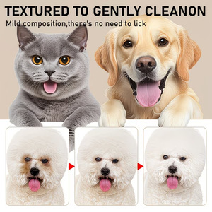 Gouttes oculaires anti-taches de larmes pour chiens et chats, soin des yeux, acide hyaluronique, extrait de plantes, OEM ODM 30ml - Product Image 4