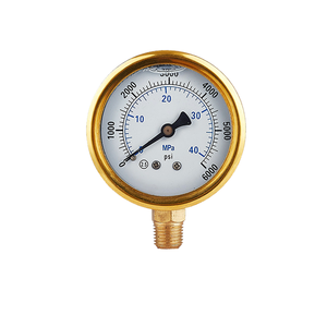 <span class=keywords><strong>Medidor</strong></span> <span class=keywords><strong>de</strong></span> presión <span class=keywords><strong>de</strong></span> acero inoxidable resistente a golpes 6 Bar 7 Bar 10 Bar en estilos personalizados <span class=keywords><strong>de</strong></span> fábrica del fabricante - Product Image 5