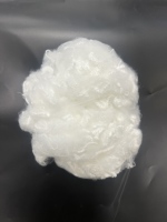 Fibra Cortada de Poliéster de Silicio Conjugado Hueca 3D 7D 15D 64MM 32MM Blanco Crudo Antipilling Antidistorsión para Relleno