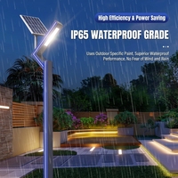 Lampadaire solaire longue durée avec panneau monocristallin LED IP66 pour usage extérieur