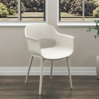 Chaise de salle à manger moderne avec dos en plastique PP coloré chaise de café de loisirs pour hôtel ou usage domestique pour table