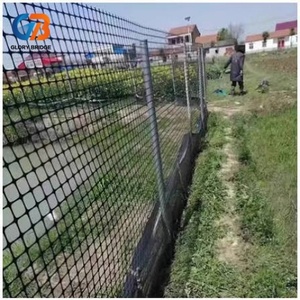 Géogrille plastique bidirectionnelle pour la protection des berges <span class=keywords><strong>de</strong></span> rivière, les murs <span class=keywords><strong>de</strong></span> soutènement et le renforcement pour améliorer la stabilité - Product Image 6