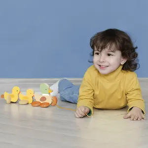 क्लासिक के लिए दुनिया का सबसे अच्छा बेच लकड़ी धक्का पुल खिलौना बतख 1 साल पुराने Toddlers के सुधार संतुलन शक्ति विश्वास