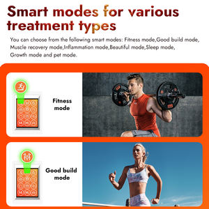 Panel de Terapia de Luz LED Infrarroja Roja de Medio Cuerpo, Producto de Cuidado de <span class=keywords><strong>la</strong></span> Salud Personal para Gimnasio y Centro de Bienestar, 700W, Directo de Fábrica - Product Image 2