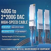 400G ila 2X200G QSFP-DD 2xQSFP56 DAC Yüksek Hızlı 5G Bakır Kablo 1m/2m/3m Pasif Doğrudan Bağlantılı Tak ve Çalıştır Veri Merkezi