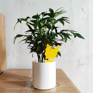 Sticky insect trap <b>board</b>, special-shaped fly trap, fly sticker, insect trap, yellow <b>board</b>, flower-shaped sticky insect trap - Product Image 2