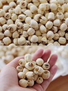 Yemek tarifleri için organik aromalı kurutulmuş Lotus tohumları kalp toptan - Product Image 5