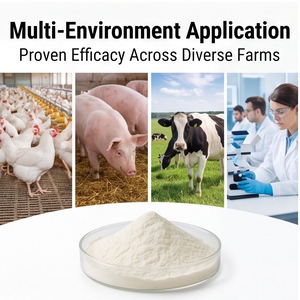 ADZ TOXIZYME Enzima Descomplejante de Micotoxinas <span class=keywords><strong>6</strong></span> en 1, Aditivo para Alimentos para Ganado, Pollo, Acuicultura, Peces - Fabricante - Kit de Prueba Rápida - Product Image 4