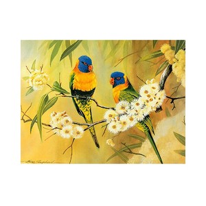 Fait main <span class=keywords><strong>perroquet</strong></span> 5d bricolage diamant peinture sans cadre - Product Image 5