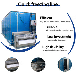 Túneles de Congelación IQF, Fabricante de Engranajes para Compresores de Paneles, Máquinas Industriales de Congelación Rápida, Procesamiento de Frutas y Verduras Congeladas - Product Image 6