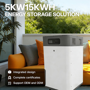 แบตเตอรี่ LiFePO4 ความจุขนาดใหญ่ 48V 15kWh พร้อมระบบจัดการแบตเตอรี่อัจฉริยะ (BMS) สำหรับเก็บพลังงานภายในบ้านและเครื่องออลอินวัน - Product Image 5