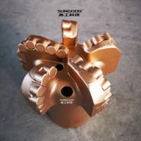 Usine 7 pouces 177mm 5 lames Arc PDC Bits 1613 PDC Cutters