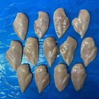 Poitrine de poulet congelée certifiée Halal, sans os, de haute qualité, en gros, à prix compétitif pour le commerce mondial