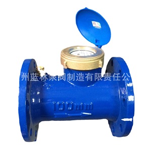 Serie de Medidores de Agua con Brida de Tornillo LXL-80E LXL-100E LXL-125E LXL-150E LXL-200E - Product Image 4