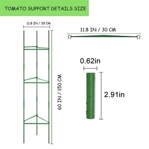 Cage à tomate en métal haute qualité, piquets de Support de jardin <span class=keywords><strong>pour</strong></span> plantes <span class=keywords><strong>grimpantes</strong></span>, nattes de jardin d'extérieur, <span class=keywords><strong>pour</strong></span> légumes, Fruits, <span class=keywords><strong>fleurs</strong></span> - Product Image 2