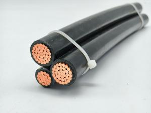 <span class=keywords><strong>Cable</strong></span> de Red Aérea XS 0.6/1kV, Cobre Recubierto Electrolítico Clase 2, XLPE, Negro, Fase <span class=keywords><strong>NEUTRO</strong></span>, Iluminación Pública Angola, EESCABLE - Product Image 5