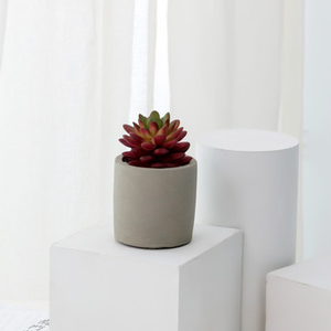 Caliente de <span class=keywords><strong>la</strong></span> venta de productos de interior decorativo artificial plantas suculentas <span class=keywords><strong>en</strong></span> cemento gris flor olla para casa - Product Image 6