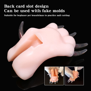 Modello Didattico in Silicone di Zampa di Cane, per Scuole di Toelettatura, Pratica di Taglio Unghie per Junior Estetisti per Animali - Product Image 4