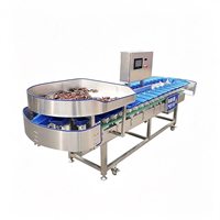 Industriële sorteer- en sorteermachine voor avocado's, tomaten, appels, mango's, meloenen en aardappelen op maat.