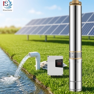 <span class=keywords><strong>Risesun</strong></span> 1300W Hybrid AC/DC Solarpumpe mit Kunststoff-Laufrad Solarbetriebenes Brunnenpumpensystem Preis - Product Image 1